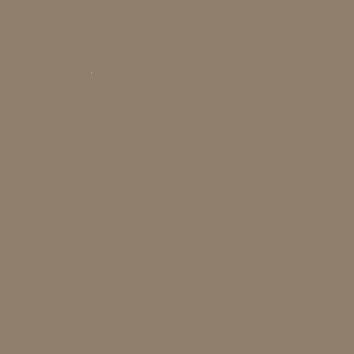 Montage Signature Interior/Exterior Eco-Friendly Paint, Riverstone - Low Sheen, 5 Gallon