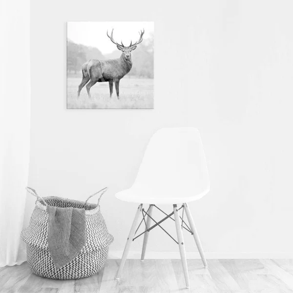 Easy Art Prints PhotoINC Studio's 'Proud Deer' Premium Canvas Art (30 x 30)