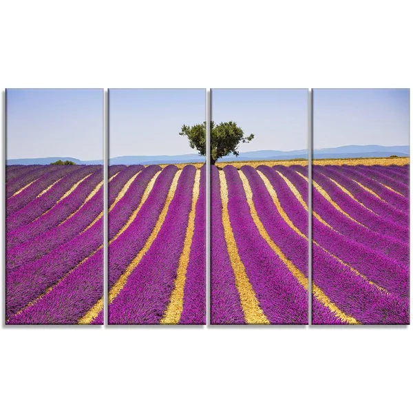 Design Art 'Lavender and Lonely Tree Uphill' 4 Piece Photographic Print on Wrapped Canvas Set - Purple