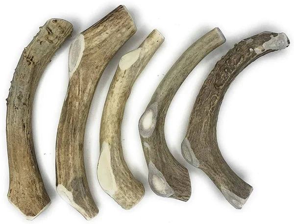 Perfect Pet Chews Deer Antler Dog Chew - Grade A - All Natural, Organic, and Long Lasting Treats - Made from Naturally Shed Antle