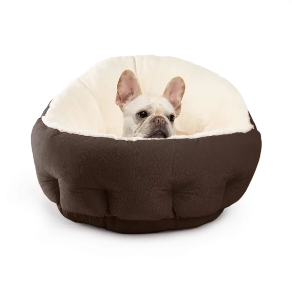 Best Friends by Sheri Deep Dish Cuddler Ilan - Jumbo Dark Chocolate