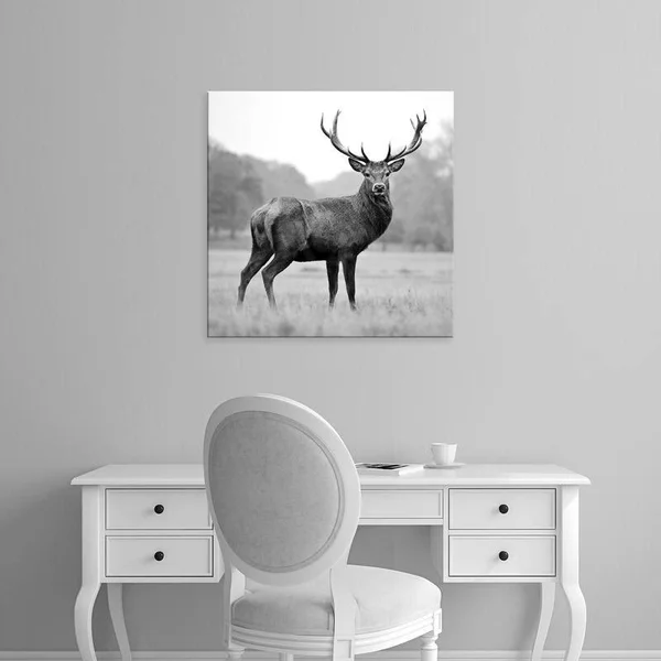 Easy Art Prints PhotoINC Studio's 'Proud Deer' Premium Canvas Art (30 x 30)