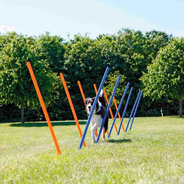 Agility Slalom Masts - 115Xø 3 cm Trixie