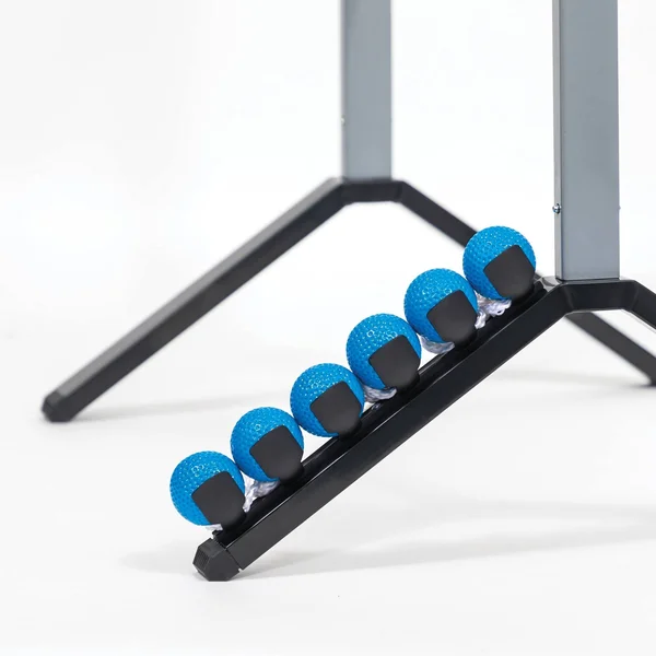 Beyond Outdoors Steel Ladderball Set