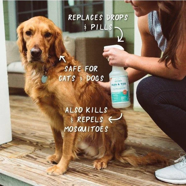 Wondercide - Indoor Pest Control Home Treatment Kit, Kills Ants, Roaches, and Spiders, with Natural Essential Oils, Rosemary