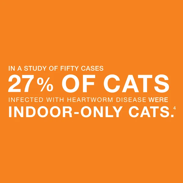 Advantage Multi for Cats 2-5 lbs - 3 Month Supply