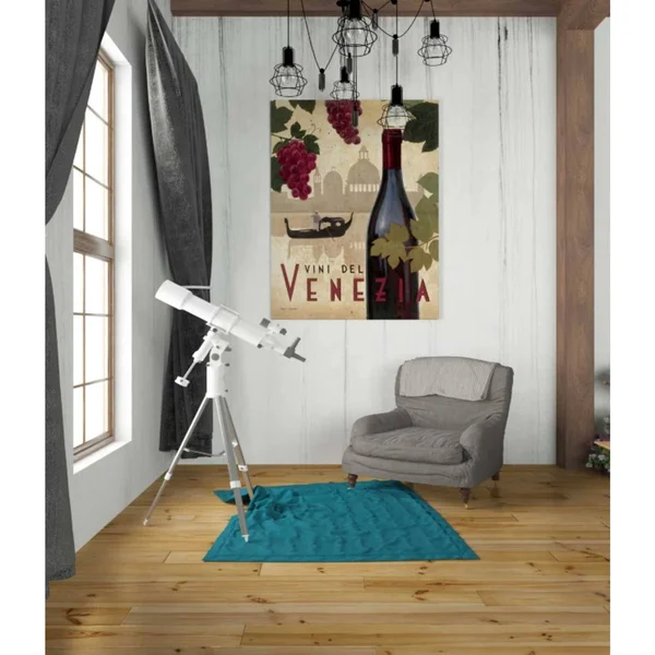 'Wine Festival II' by Marco Fabiano - Canvas Wall Art 26 x 34