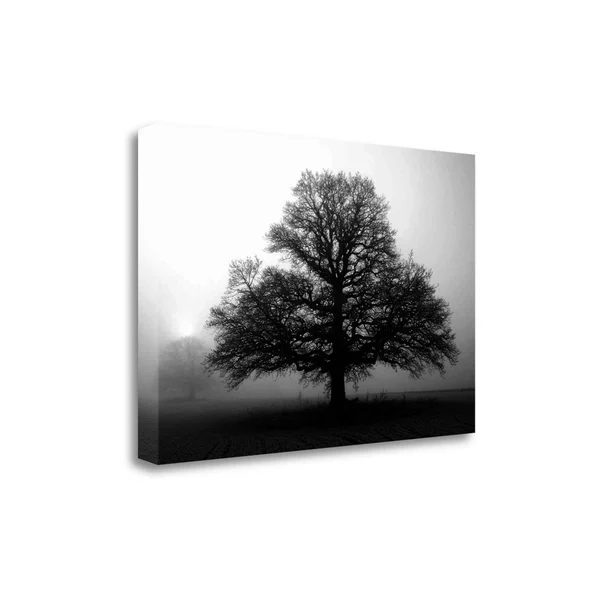 Tangletown Fine Art Tree in Mist 2x22 by PhotoINC Studio - Giclee Print on Gallery Wrap Canvas, 32x21x22