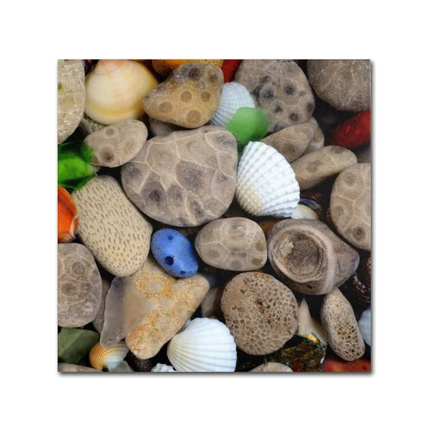 Trademark Global Michelle Calkins 'PetoskeyStones V' Canvas Art