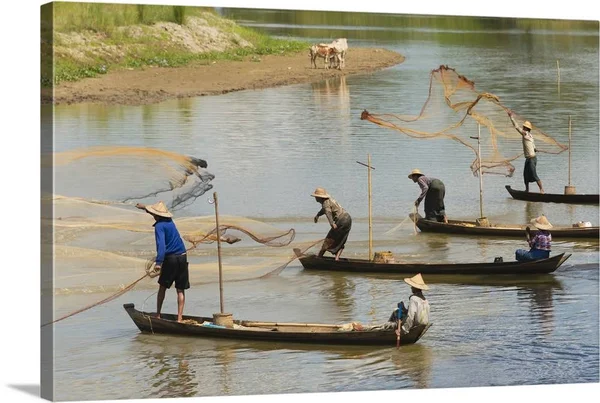 Fishermen Fishing on The River, Myanmar, Canvas Wall Art, 60x40, Great Big Canvas