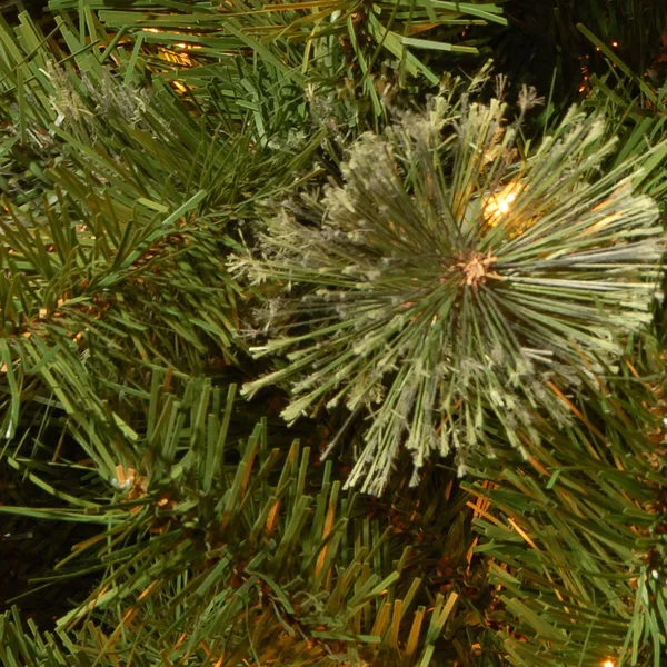 24x22 Atlanta Spruce Artificial Christmas Wreath - Clear Lights
