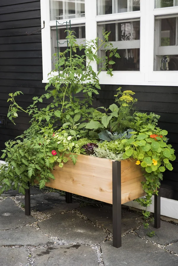 2 x 4 Elevated Cedar Planter Box - Elevated Planters, Gardener&s Supply Company