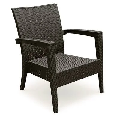 Mercury Row Kassiopeia Miami Resin Club Chair (Set of 2) Finish: Brown