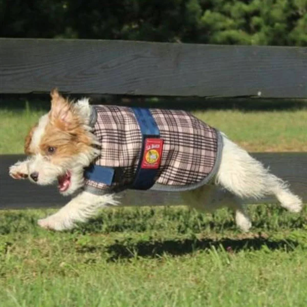 5/A Baker Dog Blanket