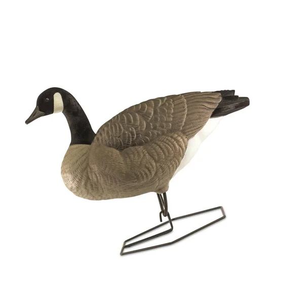 DOA Decoys Rogue Series Full-Body Canada Goose 6 Pack
