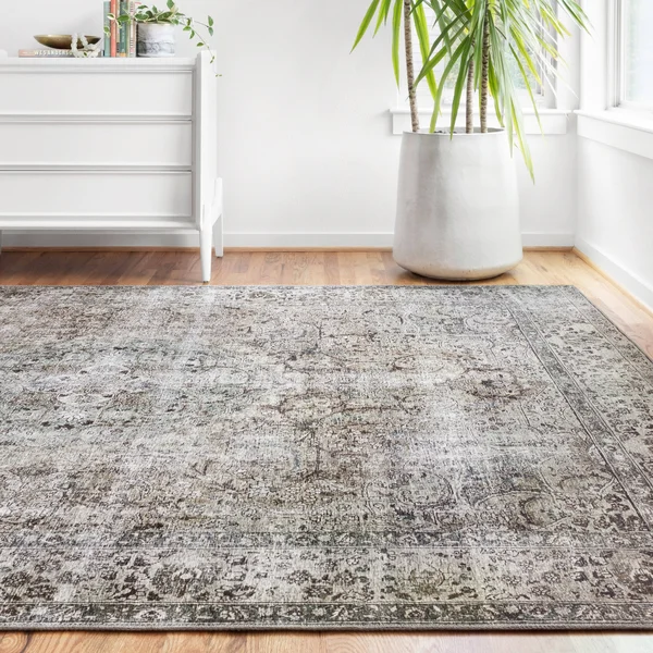 Alexander Home Isabelle Traditional Vintage Border Printed Area Rug - 7&6x22 x 9&6x22 - Taupe/Stone