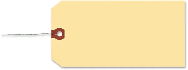Avery Wired Manila Shipping Tags