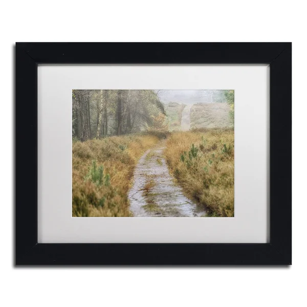 Trademark Fine Art Path Canvas Art by Cora Niele - White Mat, Wood Frame, 11x22 x 14x22