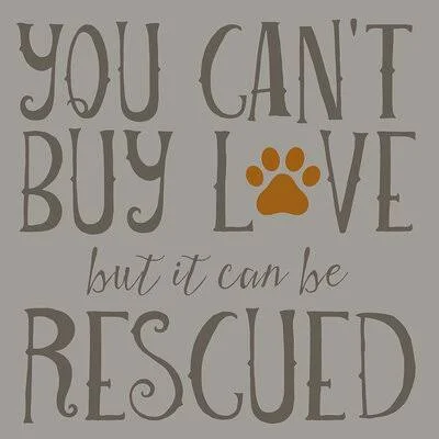 You Cant Buy Love But It Can Be Rescued by Brandi Fitzgerald - Textual Art Print Trinx Size: 18x22 H x 18x22 W x 1.5x22 D, Forma