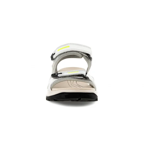 Ecco Offroad Women's Flat Sandal Multicolor - Silver Metallic, 39, M