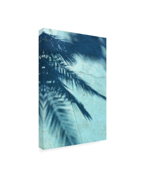Trademark Fine Art Ic01761-C1219Gg PhotoINC Studio 'Turquoise Shadow'