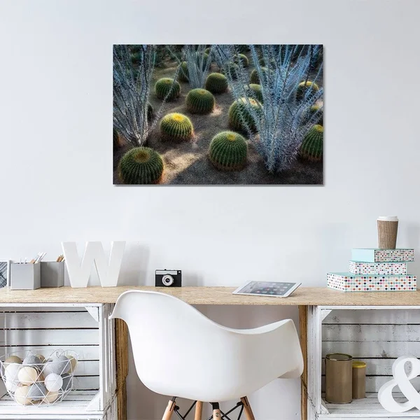 Dennis Frates Canvas Prints - Desert Plants ( scenic & landscapes art)