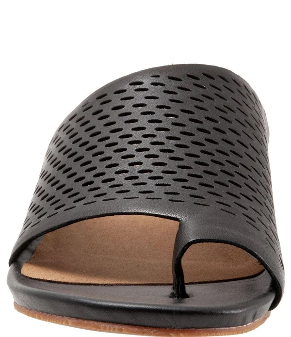 SoftWalk Women's Corsica II Sandal Black 6.5