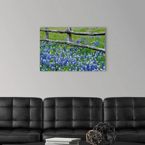 Great Big Canvas Bluebonnet Flowers Blooming Around Weathered Wood Fence Wall Art