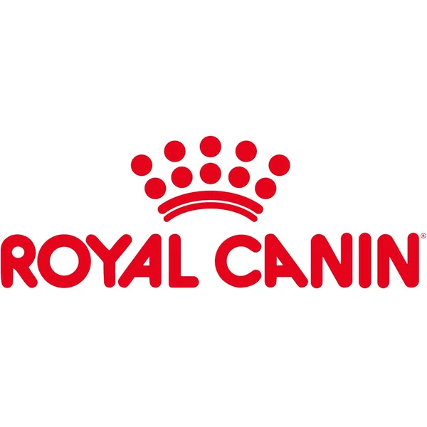 Royal Canin Cat Persian - Adult, 4kg
