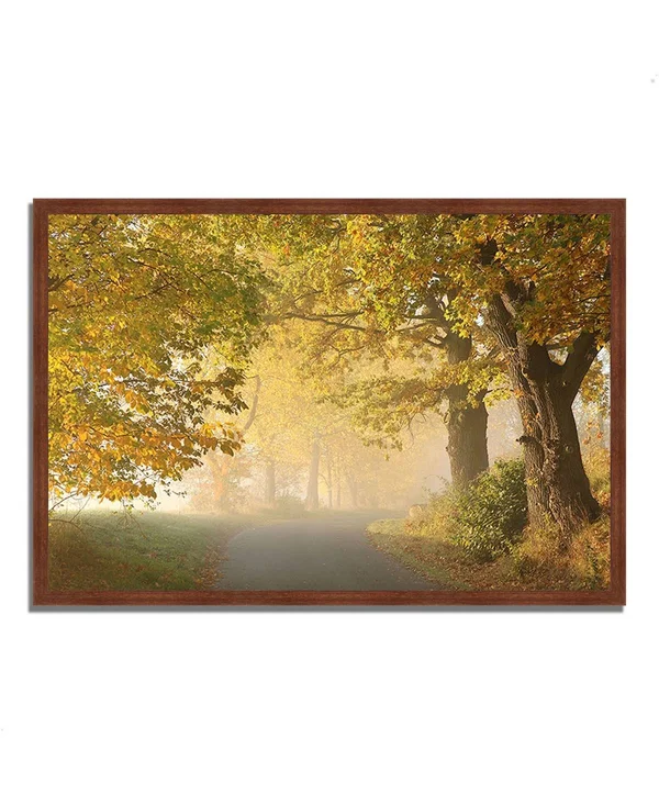 32x22 x 47x22 on A Misty Autumn Morning Framed Photograph Print