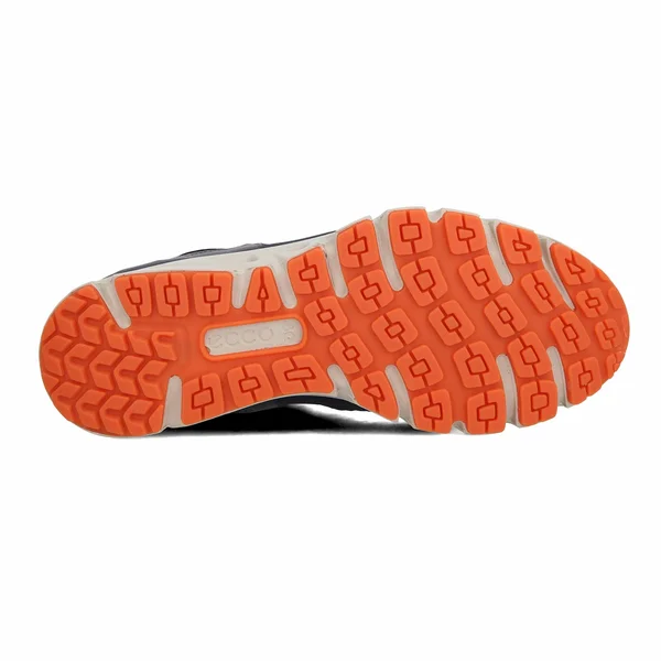 Ecco Sport Multi-vent Air Gore-Tex (Marine/Dark Clay/Pumpkin) Men's Shoes