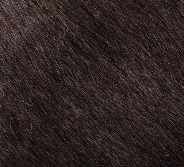 Mayvenn Virgin Brazilian Kinky Straight Bundle Hair Extensions - 12x22 Length, Black
