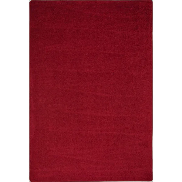 Endurance 4' x 6' Area Rug in Color Burgundy