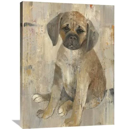 Global Gallery Albena Hristova 'Paco' Canvas Wall Art, Size: 30 x 40