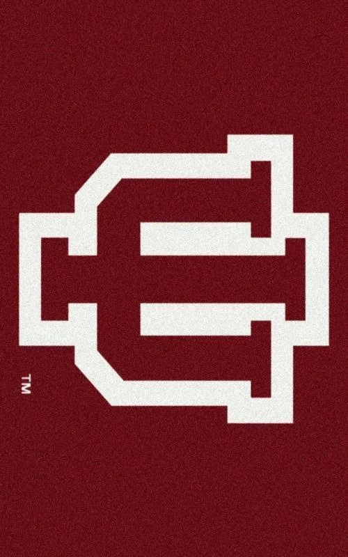 Indiana College Team Spirit Area Rug by Milliken, 5&4x22 x 7&8x22