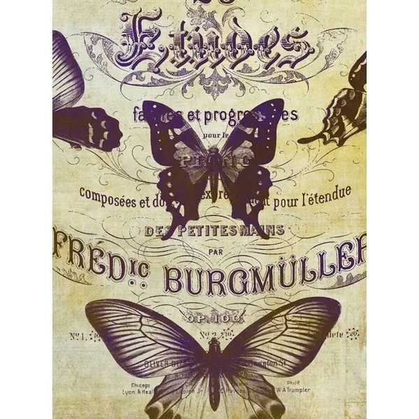 Buy Art for Less Vintage Butterflies by Brandi Fitzgerald Graphic Art on Wrapped Canvas