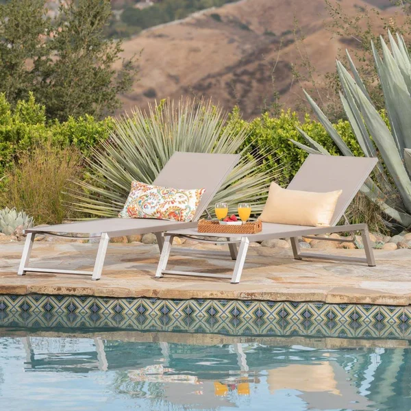 Noble House Myers Outdoor Aluminum Chaise Lounge in Gray (Set of 2)