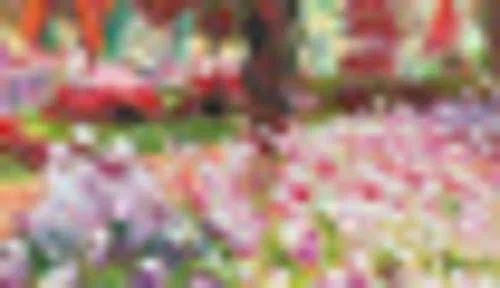 Overstock Art Artist&s Garden at Giverny with Feathered Ebony Frame, 11.24x22 x 13.24x22 in Multi at Nordstrom Rack