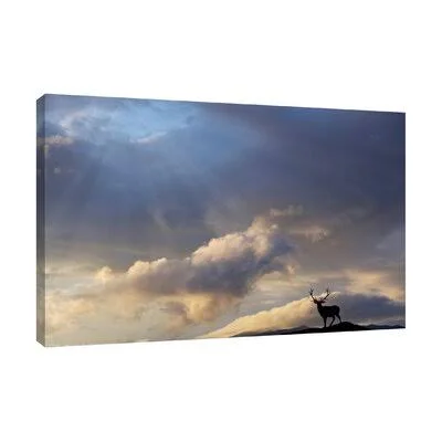 JaxsonRea &Not All Who Wander Are Lost& by Dominic Liam Photographic Print on Wrapped Canvas Size: 12x22 H x 18x22 W x 1.5x22 D