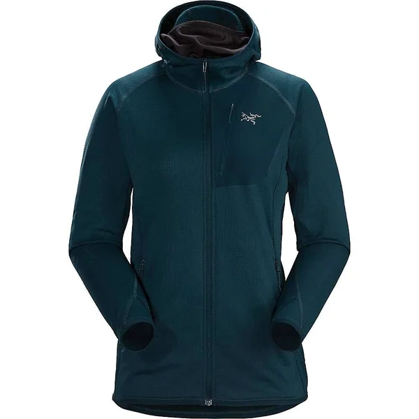 Arcteryx Women's Delta MX Hoody - Medium - Labyrinth