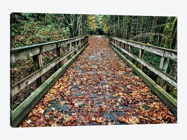 Galloping Goose Canvas Artwork Print by Tim Oldford ( Seasons > Autumn art)
