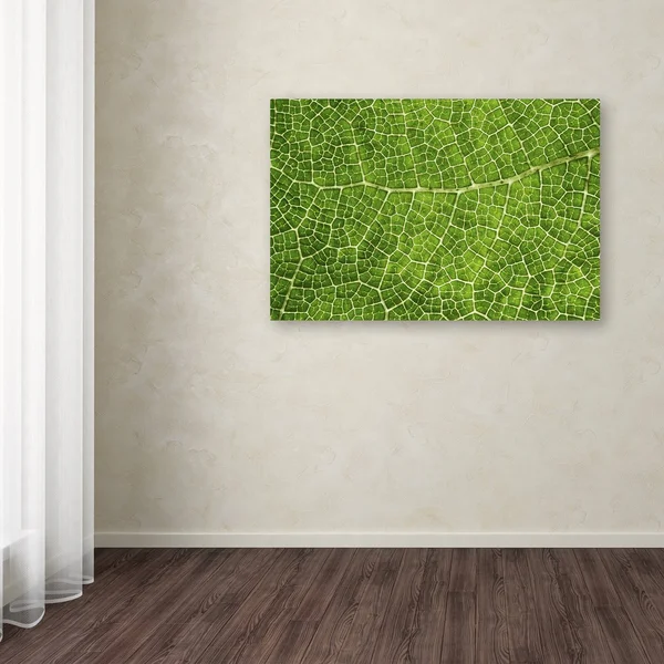 Trademark Fine Art 'Green Leaf Texture' Canvas Art by Cora Niele - Size: 22 x 32
