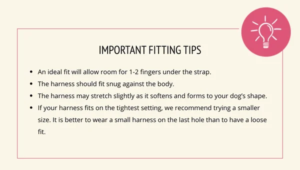 Buddy Belts Classic Dog Harness - Black, Size 3