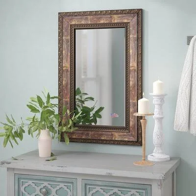 Denver Traditional Beveled Distressed Accent Mirror World Menagerie