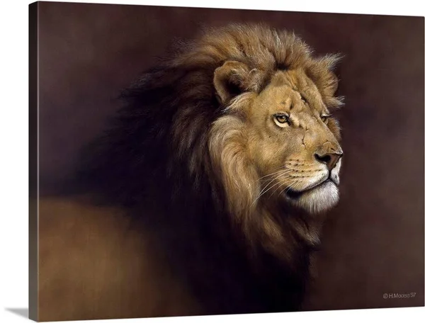 Lion Male - Canvas Wall Art, 24x18, Great Big Canvas
