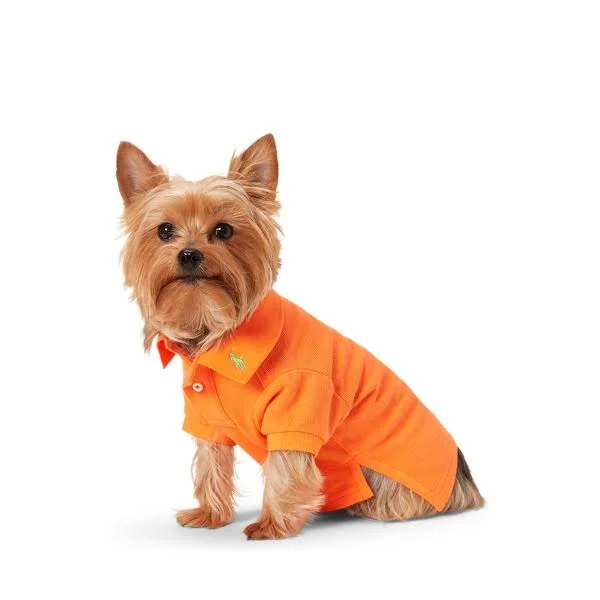 Ralph Lauren Cotton Mesh Dog Polo Shirt - Size M in Resort Orange