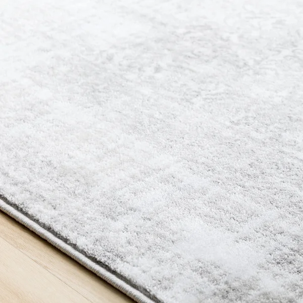 Surya - Nova Area Rug - 3&9x22 x 5&2x22