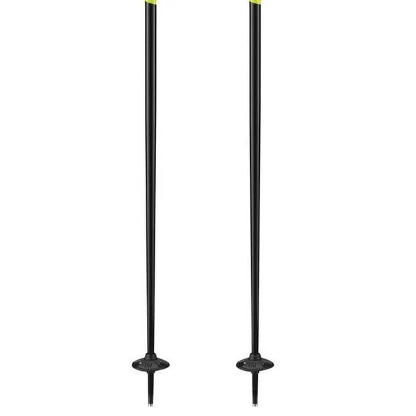 Salomon x 08 Poles 110 cm