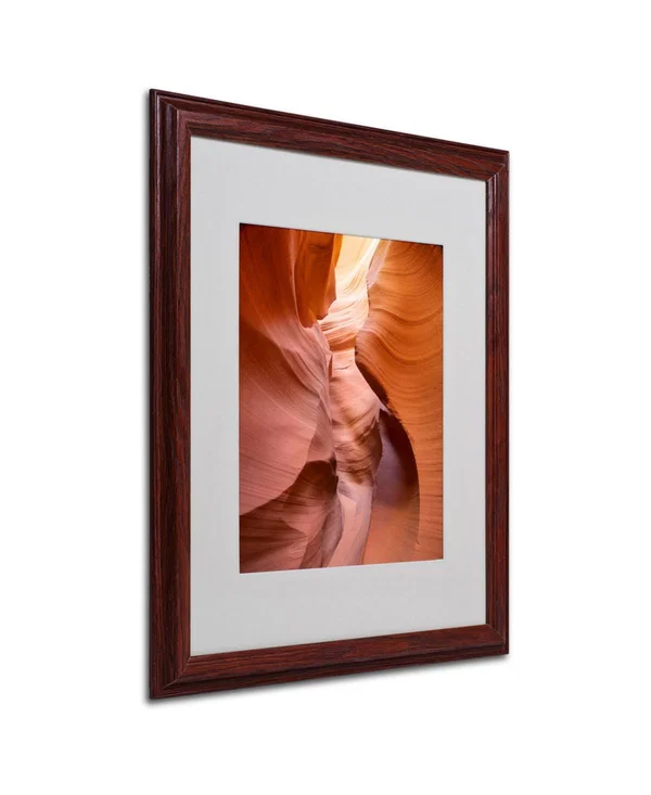 Trademark Fine Art Spiral I by Moises Levy Matted Framed Art - 16 by 20-Inch, Wood Frame