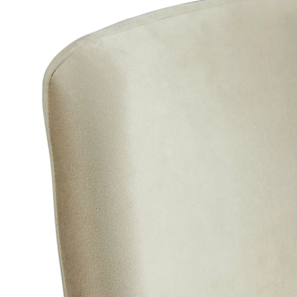 Picket House Furnishings Mardelle Dining Side Chair Set in Cream
